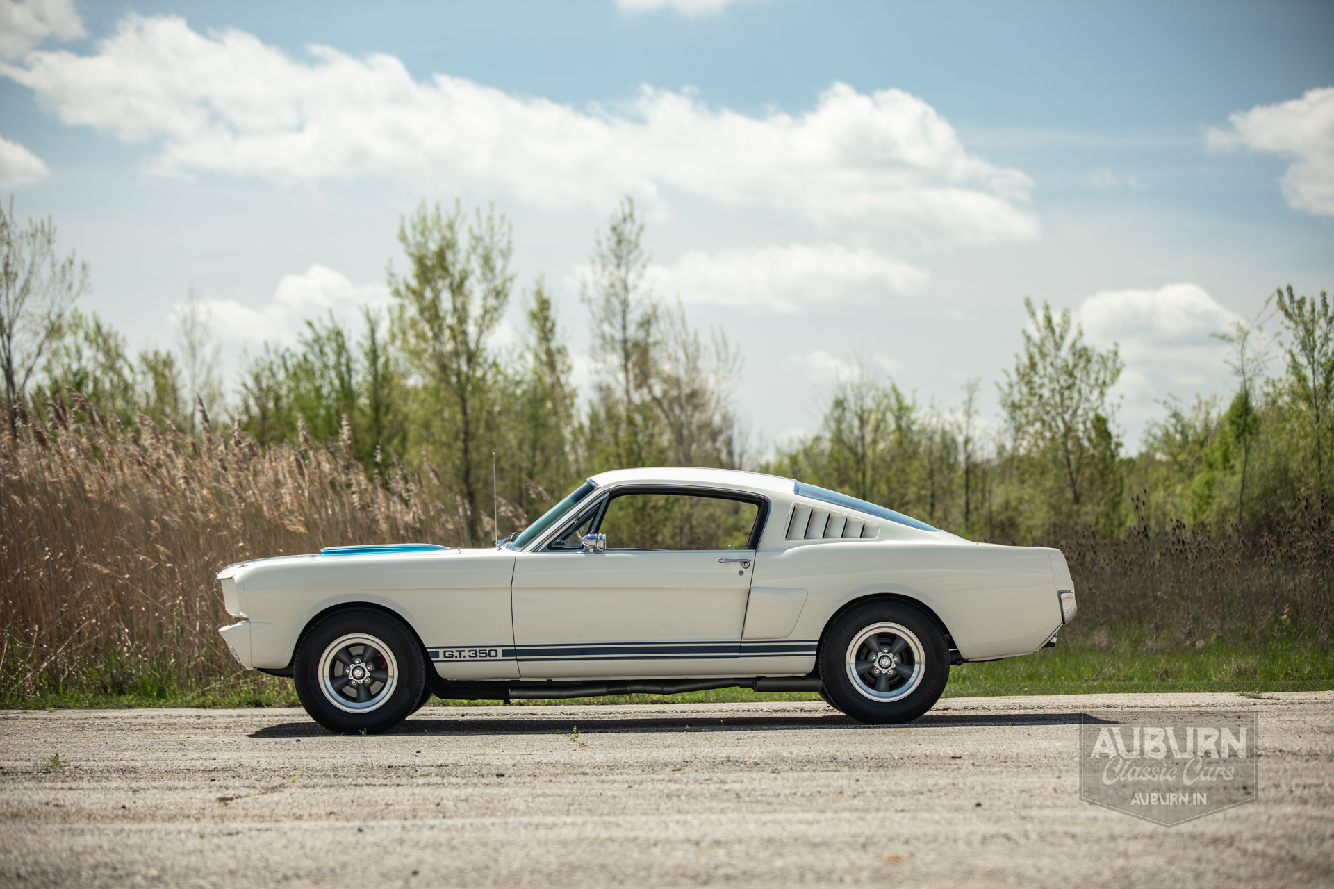 1966 Ford Mustang Shelby GT350 Replica — thumbnail 2 of 41