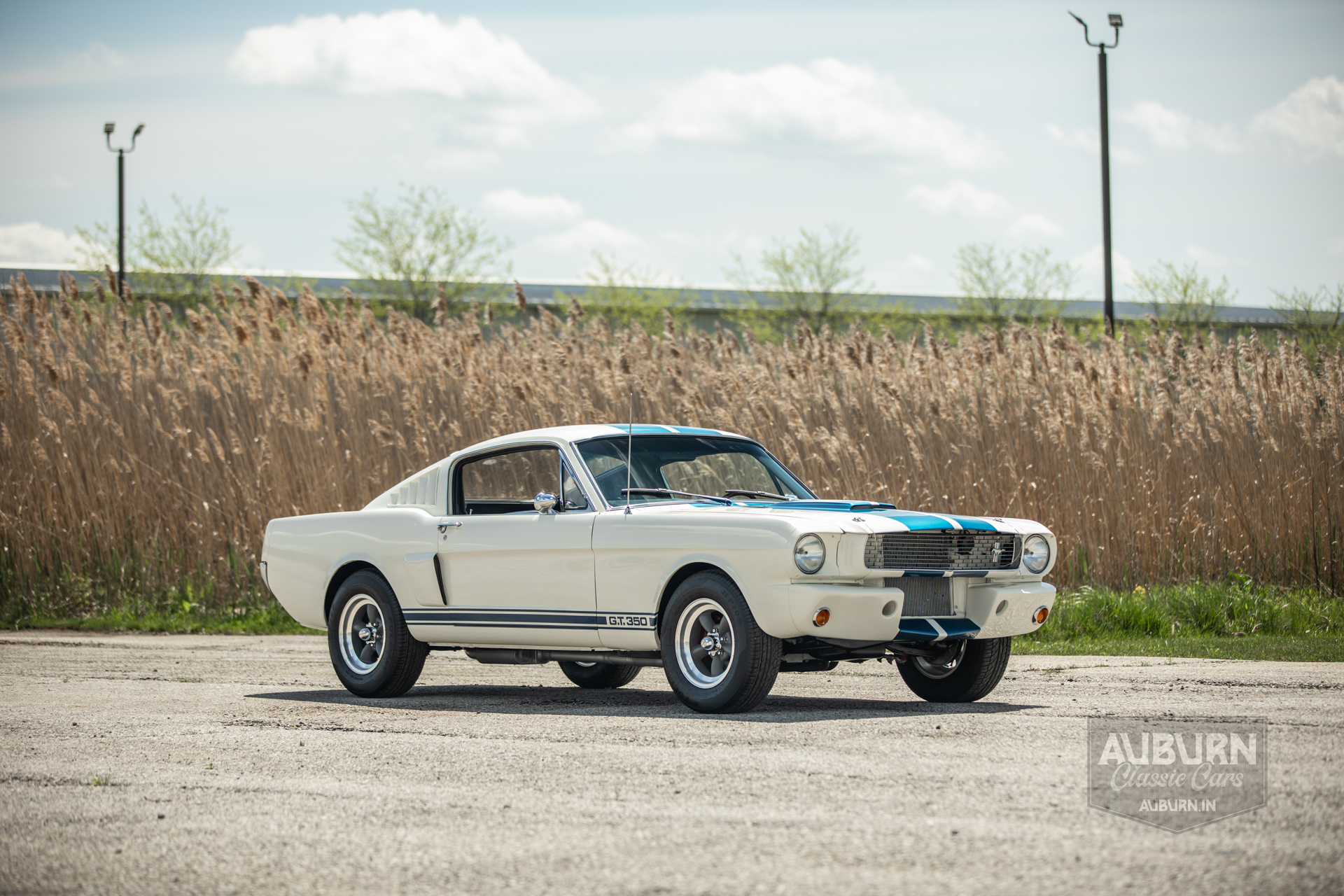 1966 Ford Mustang Shelby GT350 Replica — thumbnail 4 of 41