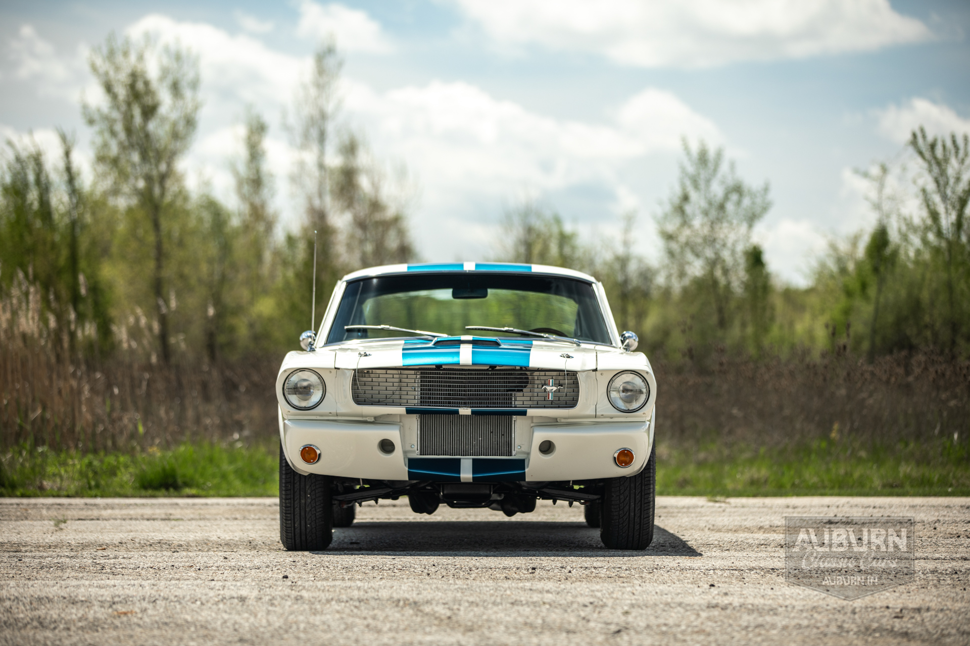 1966 Ford Mustang Shelby GT350 Replica — thumbnail 5 of 41