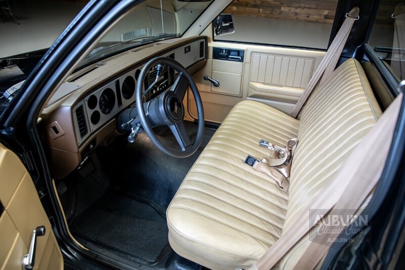 1984 Chevrolet S-10 — thumbnail 13 of 41