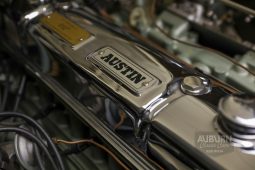 
										1958 Austin-Healey 100-Six ‘Goldie’ Roadster full									