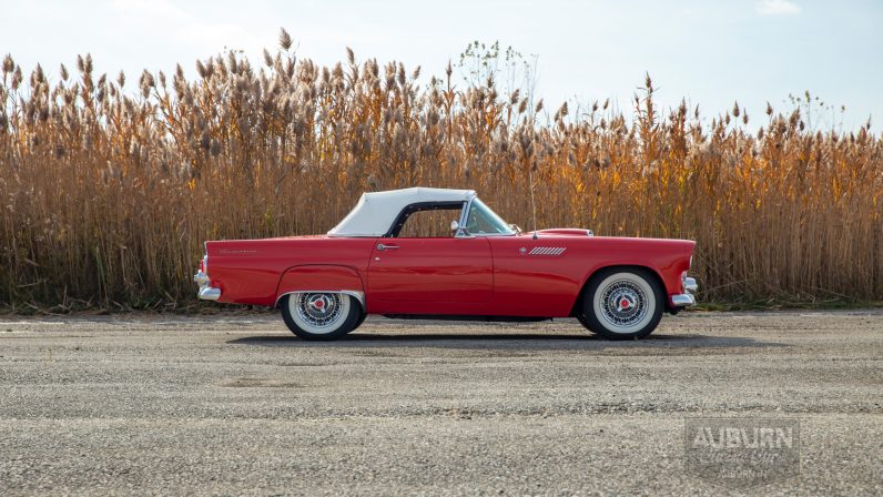 
								1955 Ford Thunderbird Convertible full									