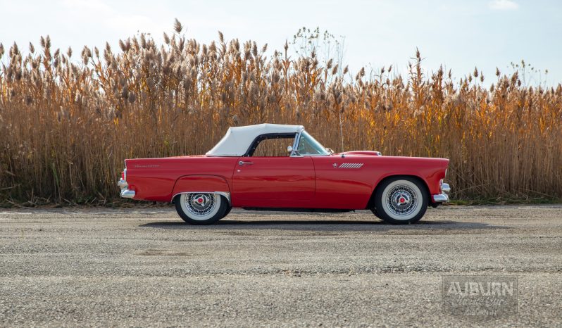 
								1955 Ford Thunderbird Convertible full									