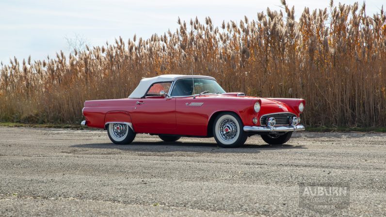 
								1955 Ford Thunderbird Convertible full									