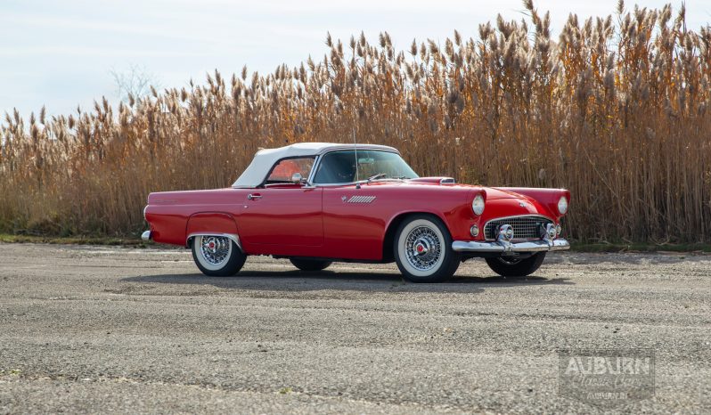 
								1955 Ford Thunderbird Convertible full									