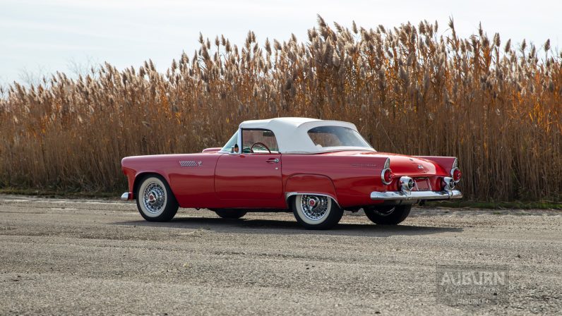 
								1955 Ford Thunderbird Convertible full									