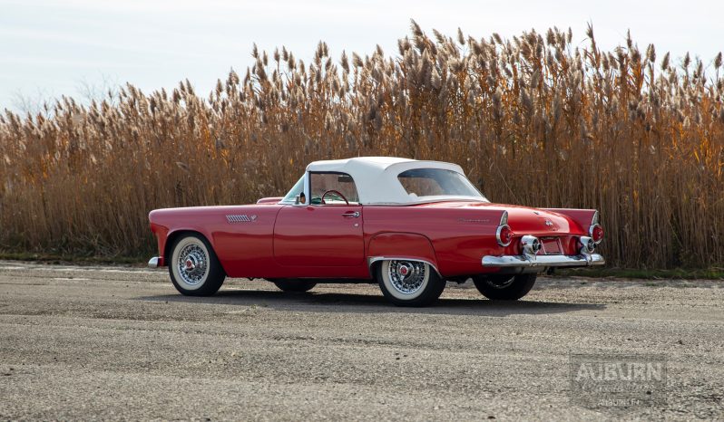 
								1955 Ford Thunderbird Convertible full									