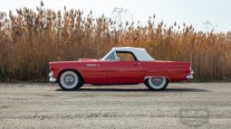 
										1955 Ford Thunderbird Convertible full									