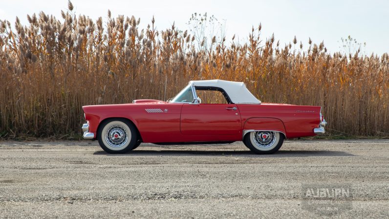 
								1955 Ford Thunderbird Convertible full									