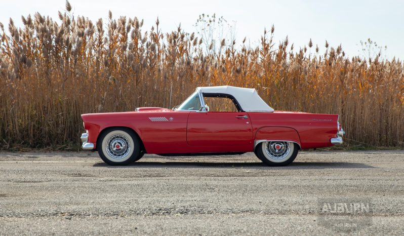 
								1955 Ford Thunderbird Convertible full									