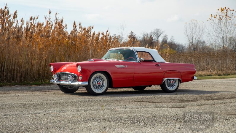 
								1955 Ford Thunderbird Convertible full									