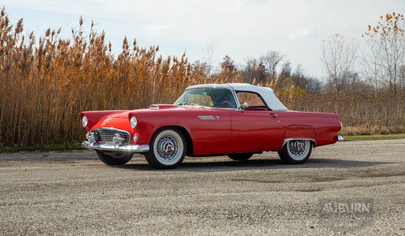 
								1955 Ford Thunderbird Convertible full									