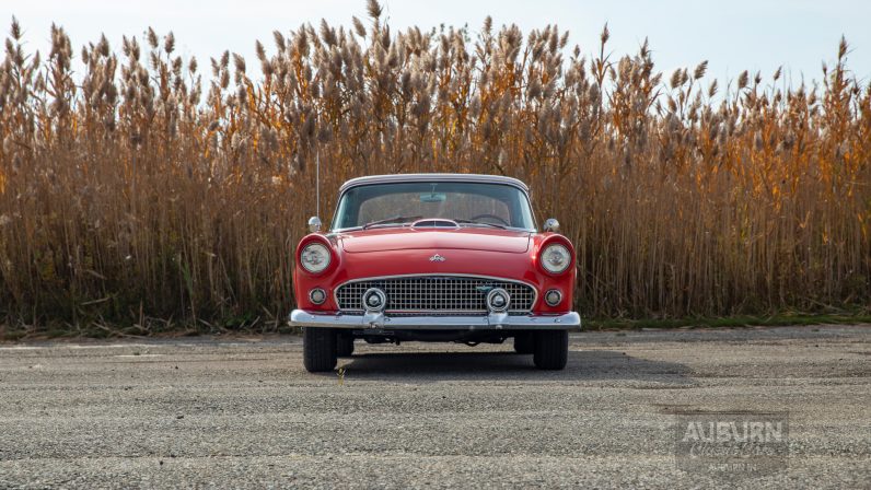 
								1955 Ford Thunderbird Convertible full									