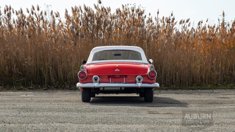 
								1955 Ford Thunderbird Convertible full									