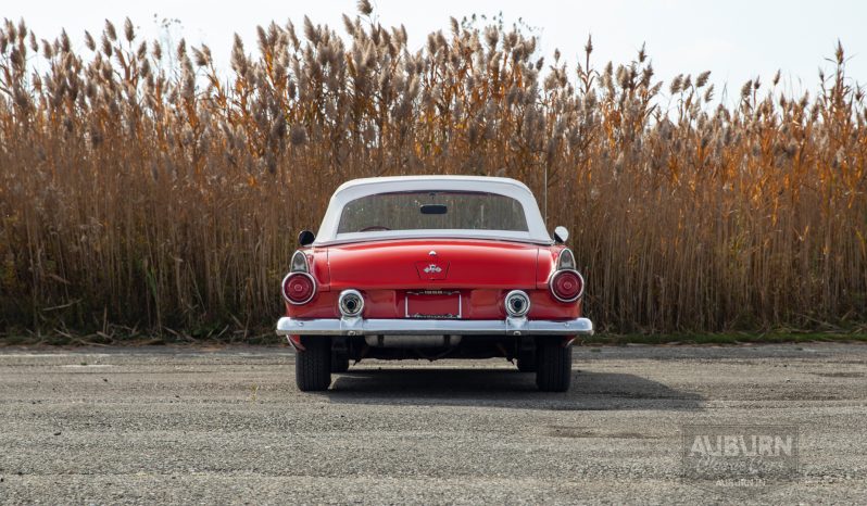 
								1955 Ford Thunderbird Convertible full									