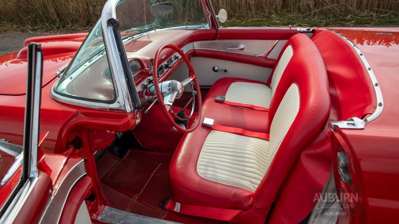 
								1955 Ford Thunderbird Convertible full									