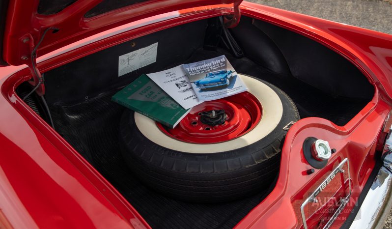 
								1955 Ford Thunderbird Convertible full									