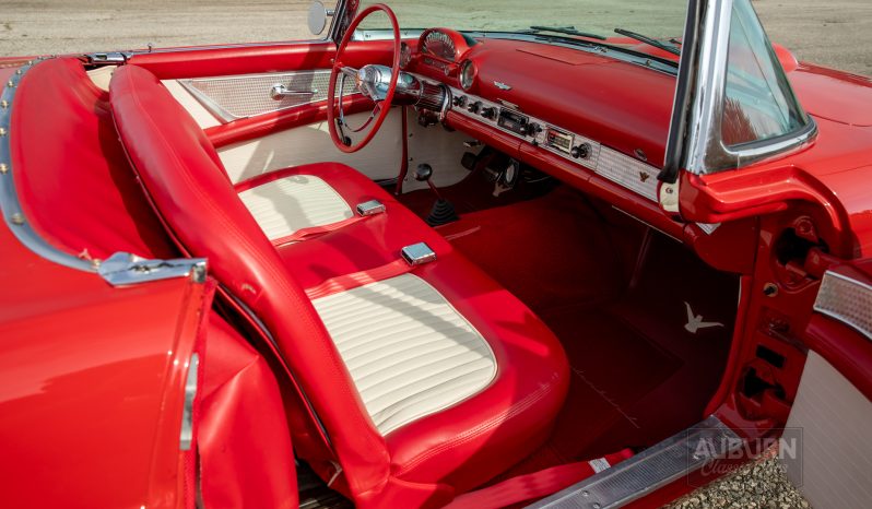 
								1955 Ford Thunderbird Convertible full									