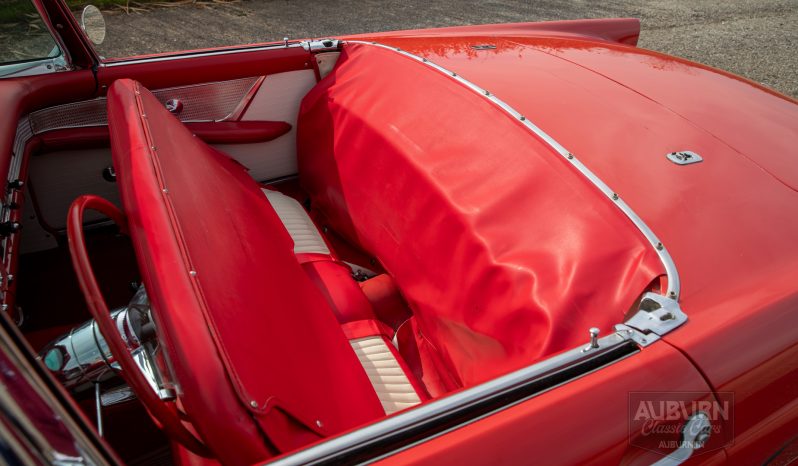 
								1955 Ford Thunderbird Convertible full									