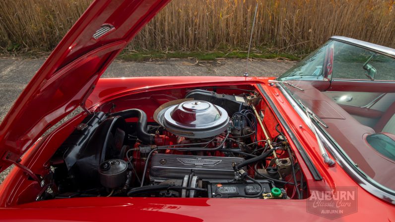 
								1955 Ford Thunderbird Convertible full									