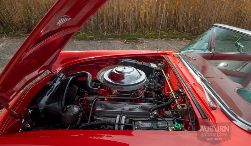 
								1955 Ford Thunderbird Convertible full									