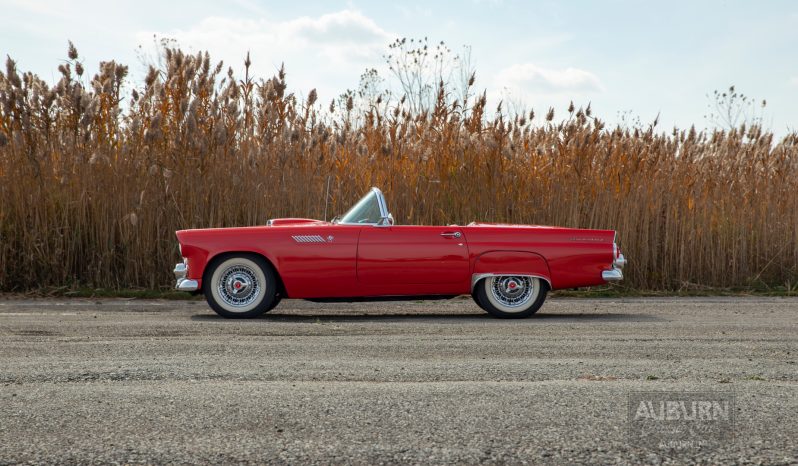 
								1955 Ford Thunderbird Convertible full									