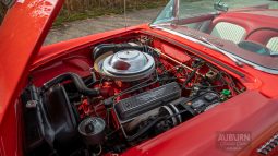 
										1955 Ford Thunderbird Convertible full									