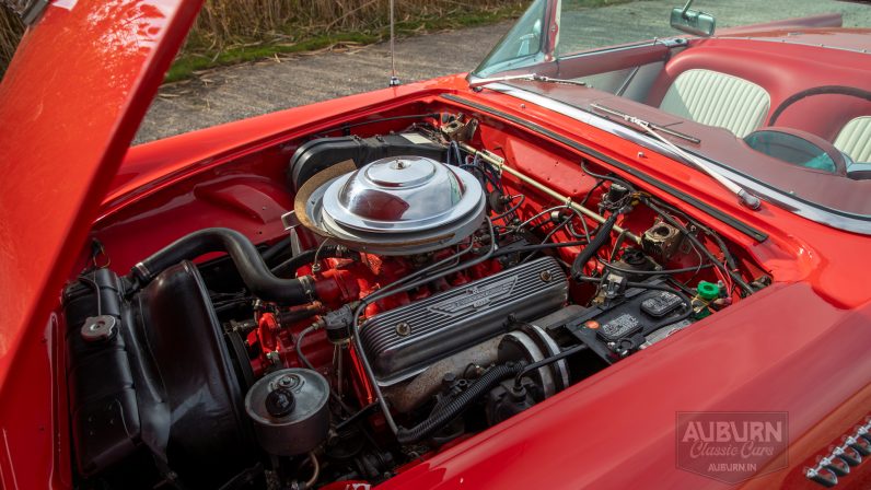 
								1955 Ford Thunderbird Convertible full									