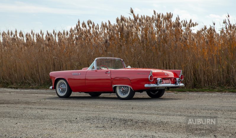 
								1955 Ford Thunderbird Convertible full									