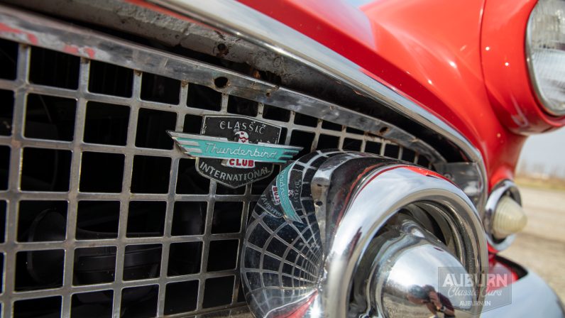 
								1955 Ford Thunderbird Convertible full									