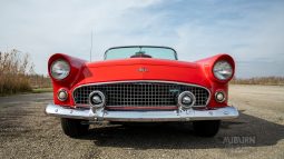 
										1955 Ford Thunderbird Convertible full									