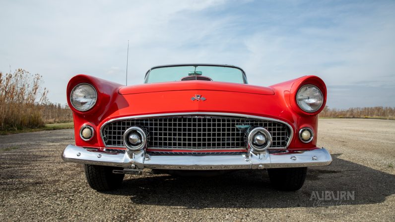 
								1955 Ford Thunderbird Convertible full									