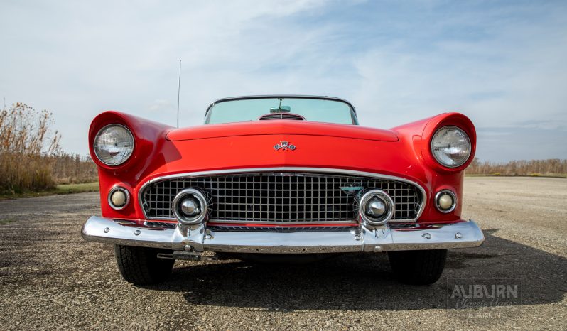 
								1955 Ford Thunderbird Convertible full									