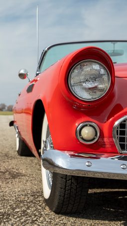 
										1955 Ford Thunderbird Convertible full									