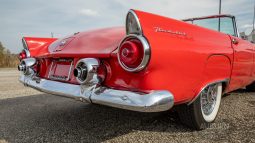 
										1955 Ford Thunderbird Convertible full									