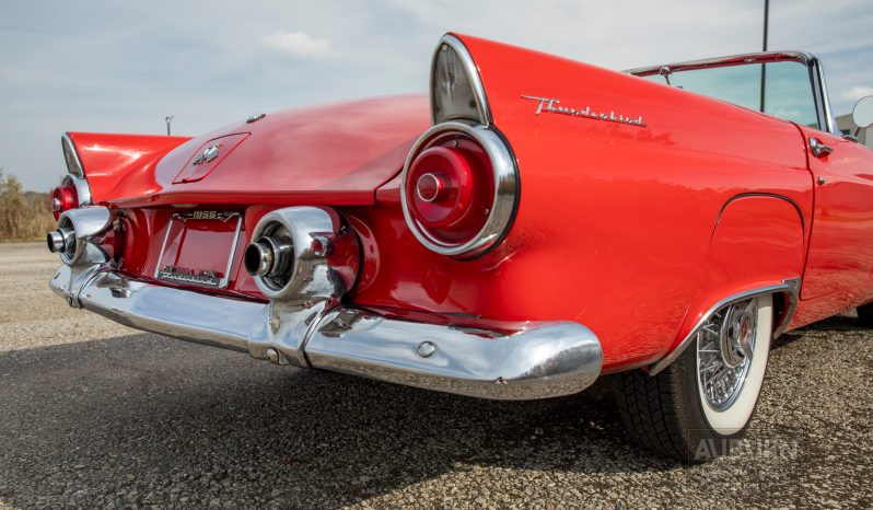 
								1955 Ford Thunderbird Convertible full									