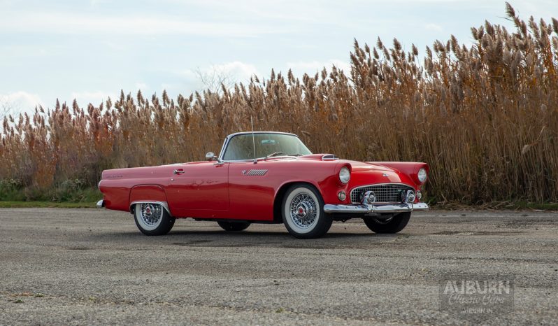 
								1955 Ford Thunderbird Convertible full									