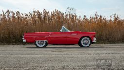 
										1955 Ford Thunderbird Convertible full									