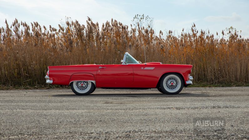 
								1955 Ford Thunderbird Convertible full									