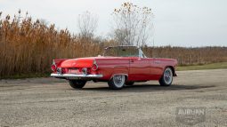 
										1955 Ford Thunderbird Convertible full									