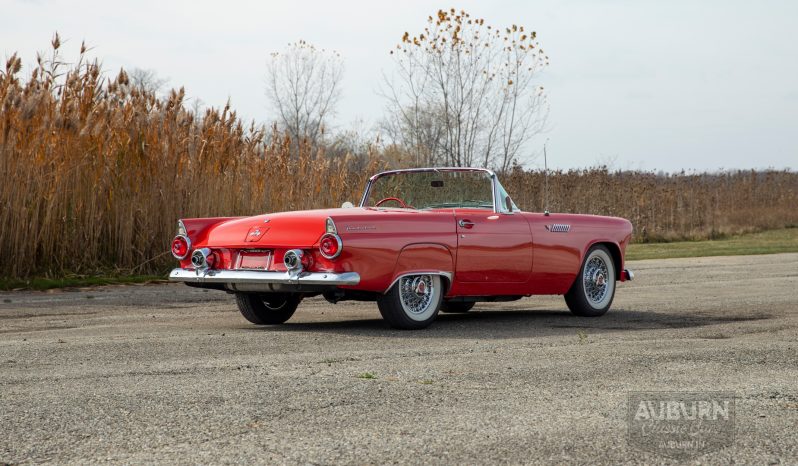 
								1955 Ford Thunderbird Convertible full									