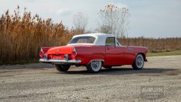 
										1955 Ford Thunderbird Convertible full									