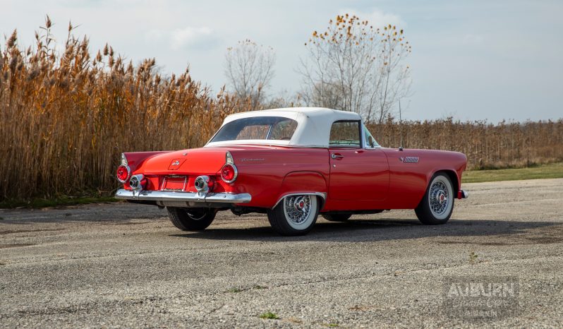 
								1955 Ford Thunderbird Convertible full									