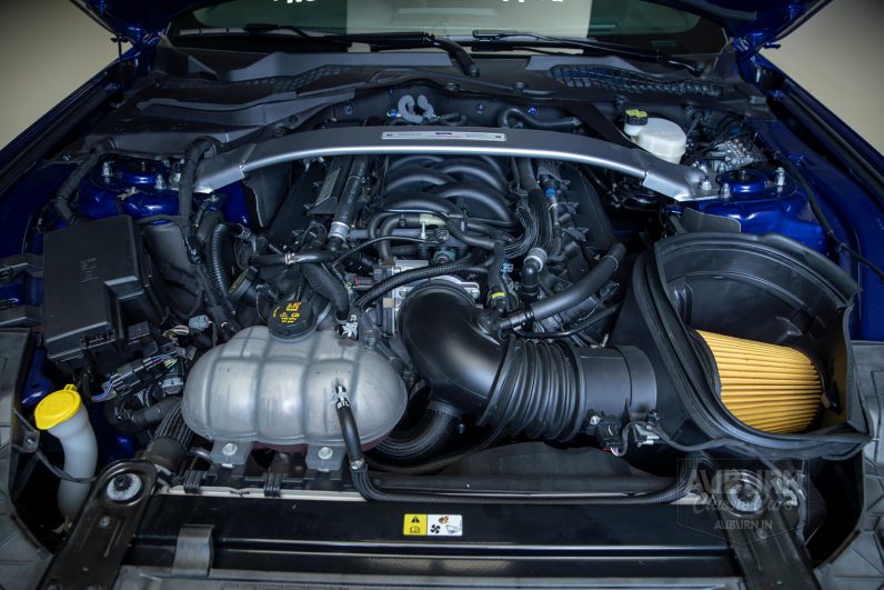 
								2015 Ford Shelby GT350 50th Anniversary full									
