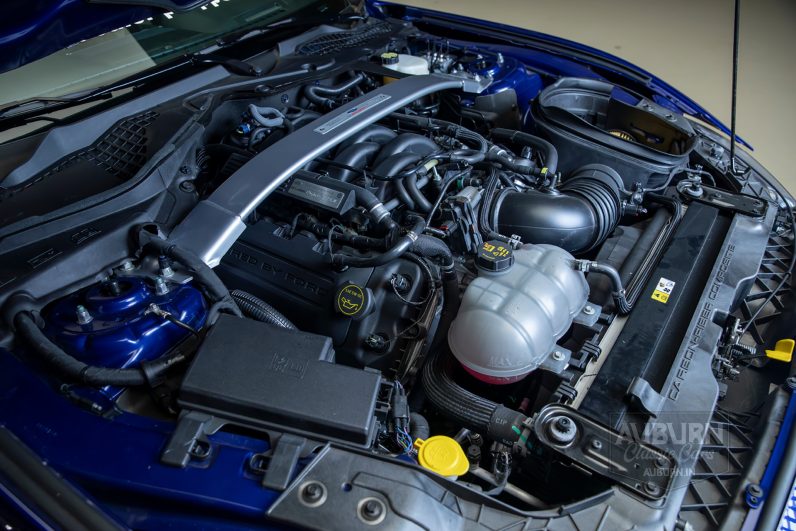
								2015 Ford Shelby GT350 50th Anniversary full									