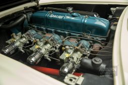 
										1953 Chevrolet Corvette Roadster full									
