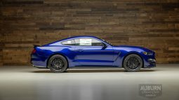 
										2015 Ford Shelby GT350 50th Anniversary full									
