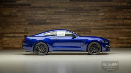 
										2015 Ford Shelby GT350 50th Anniversary full									