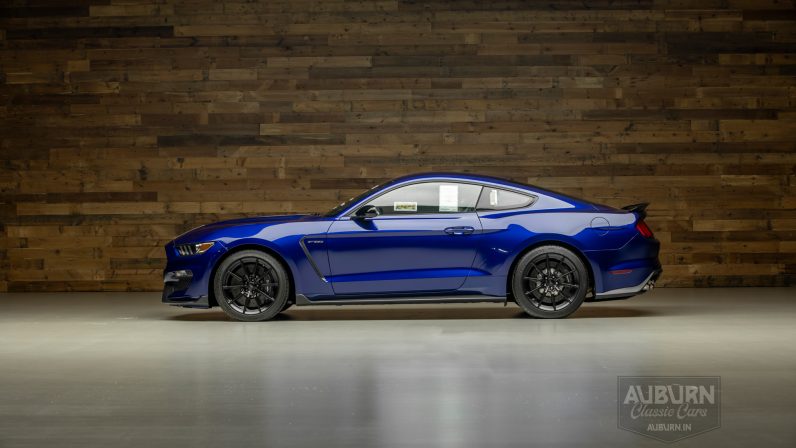 
								2015 Ford Shelby GT350 50th Anniversary full									