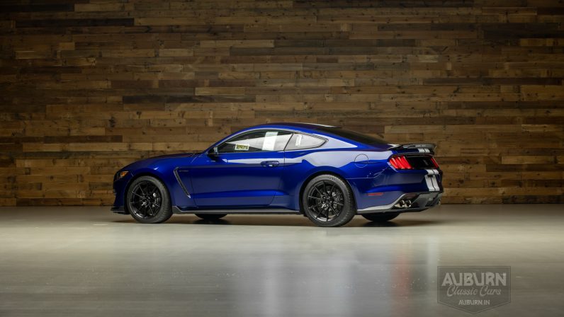
								2015 Ford Shelby GT350 50th Anniversary full									
